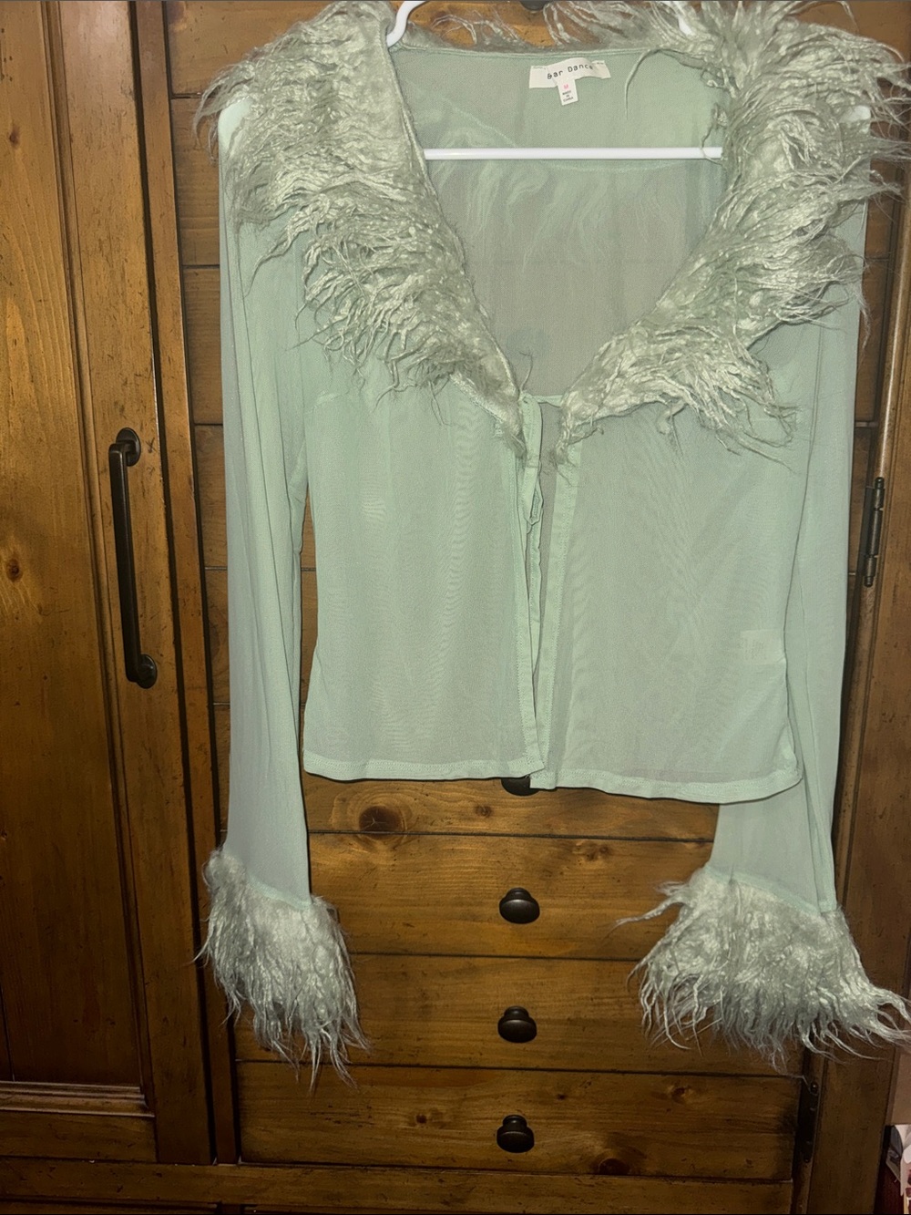 Bear Dance Pale Mint Sheer Feather-Trim Tie-Front Top